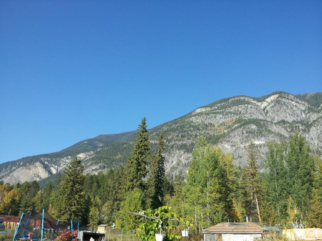 Steamboat Mountain Chalets Spillimacheen Exterior foto